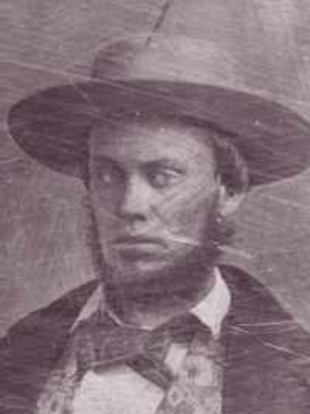 Henry M. McArthur (1829 - 1896) Profile